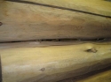 Бревна на стенде до нанесения геремтика для деревянного дома